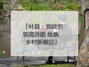 叶县：党建引领高效能 绘就乡村新图景