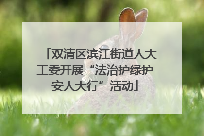 双清区滨江街道人大工委开展“法治护绿护安人大行”活动