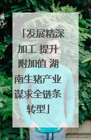发展精深加工 提升附加值 湖南生猪产业谋求全链条转型