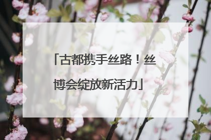 古都携手丝路！丝博会绽放新活力