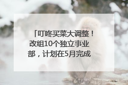 叮咚买菜大调整！改组10个独立事业部，计划在5月完成App端全面改版