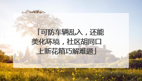 可防车辆乱入，还能美化环境，社区胡同口上新花箱巧解难题