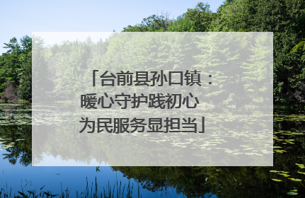 台前县孙口镇：暖心守护践初心 为民服务显担当