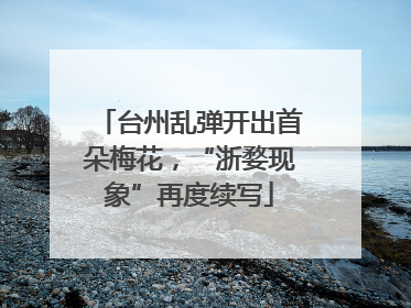 台州乱弹开出首朵梅花，“浙婺现象”再度续写
