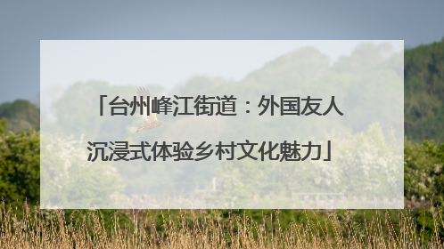 台州峰江街道：外国友人沉浸式体验乡村文化魅力