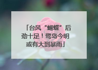 台风“蝴蝶”后劲十足！鹭岛今明或有大到暴雨