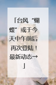 台风“蝴蝶”或于今天中午前后再次登陆！最新动态→