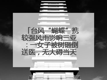 台风“蝴蝶”携较强风雨影响三亚：一女子被树砸倒送医，无大碍当天回家 当地已紧急清障