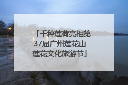 千种莲荷亮相第37届广州莲花山莲花文化旅游节