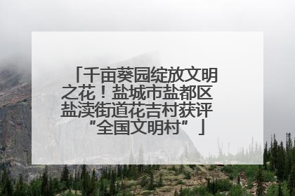 千亩葵园绽放文明之花！盐城市盐都区盐渎街道花吉村获评“全国文明村”
