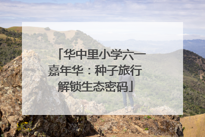 华中里小学六一嘉年华：种子旅行解锁生态密码