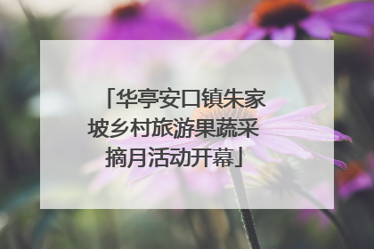 华亭安口镇朱家坡乡村旅游果蔬采摘月活动开幕