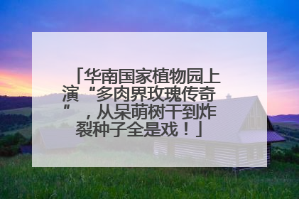 华南国家植物园上演“多肉界玫瑰传奇”，从呆萌树干到炸裂种子全是戏！