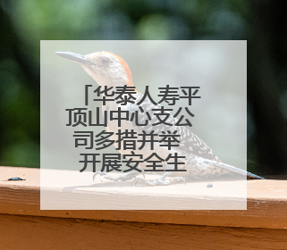 华泰人寿平顶山中心支公司多措并举  开展安全生产宣传活动