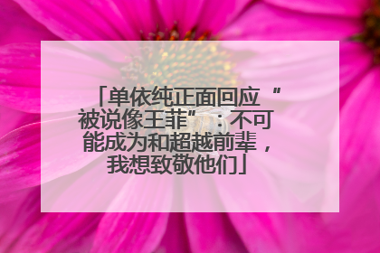 单依纯正面回应“被说像王菲”：不可能成为和超越前辈，我想致敬他们