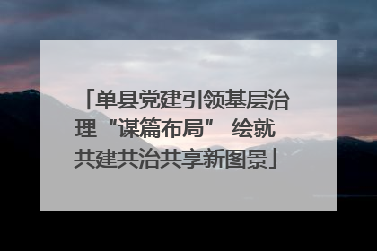 单县党建引领基层治理“谋篇布局” 绘就共建共治共享新图景