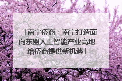 南宁侨商：南宁打造面向东盟人工智能产业高地给侨商提供新机遇