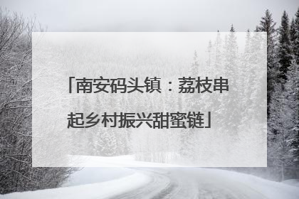 南安码头镇：荔枝串起乡村振兴甜蜜链