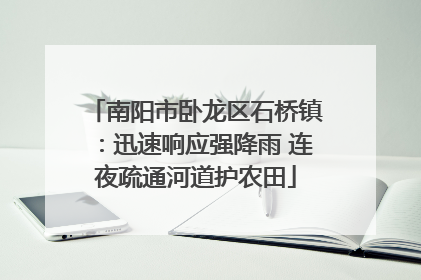 南阳市卧龙区石桥镇：迅速响应强降雨 连夜疏通河道护农田