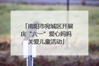 南阳市宛城区开展庆“六一”爱心妈妈关爱儿童活动