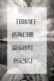 印尼归侨海口重温琼崖红色记忆