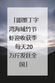 即墨丁字湾海域竹节虾迎收获季 每天20万斤发往全国