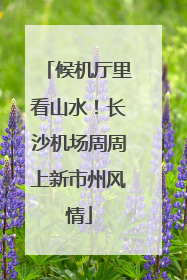 候机厅里看山水！长沙机场周周上新市州风情