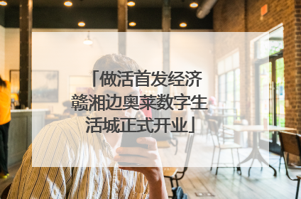 做活首发经济 赣湘边奥莱数字生活城正式开业
