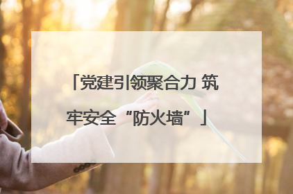 党建引领聚合力 筑牢安全“防火墙”
