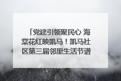党建引领聚民心 海棠花红映凯马！凯马社区第三届邻里生活节谱写幸福新篇章