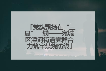 党旗飘扬在“三夏”一线——宛城区溧河街道党群合力筑牢禁烧防线
