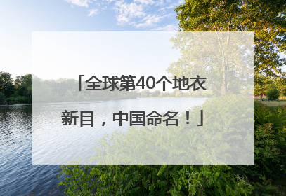 全球第40个地衣新目，中国命名！