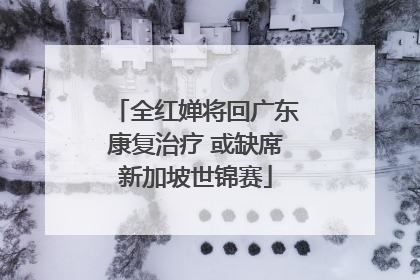 全红婵将回广东康复治疗 或缺席新加坡世锦赛