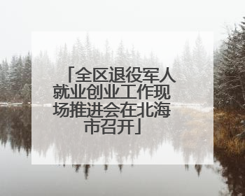 全区退役军人就业创业工作现场推进会在北海市召开