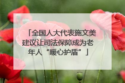 全国人大代表施文美建议让司法保障成为老年人“暖心护盾”