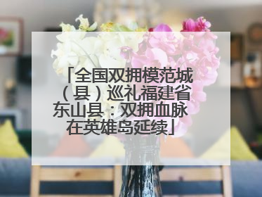 全国双拥模范城（县）巡礼福建省东山县：双拥血脉在英雄岛延续
