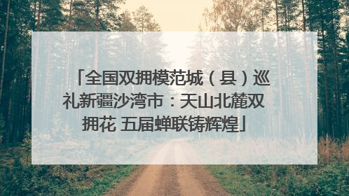 全国双拥模范城（县）巡礼新疆沙湾市：天山北麓双拥花 五届蝉联铸辉煌
