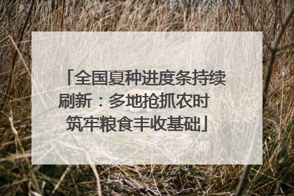 全国夏种进度条持续刷新：多地抢抓农时 筑牢粮食丰收基础