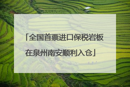全国首票进口保税岩板在泉州南安顺利入仓