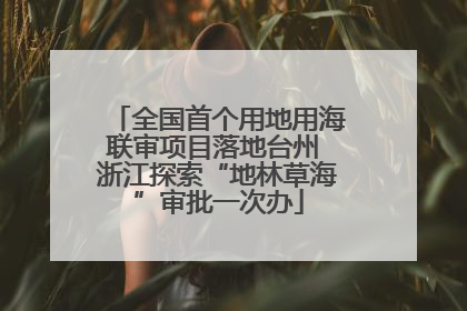 全国首个用地用海联审项目落地台州 浙江探索“地林草海”审批一次办