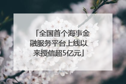 全国首个海事金融服务平台上线以来授信超5亿元