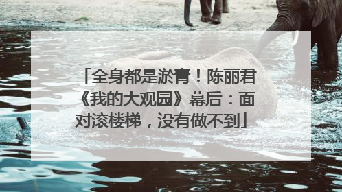 全身都是淤青！陈丽君《我的大观园》幕后：面对滚楼梯，没有做不到