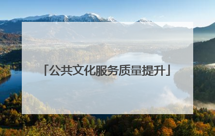 公共文化服务质量提升