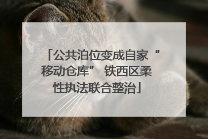 公共泊位变成自家“移动仓库” 铁西区柔性执法联合整治