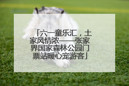 六一童乐汇，土家风情浓——张家界国家森林公园门票站暖心宠游客