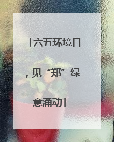 六五环境日，见“郑”绿意涌动