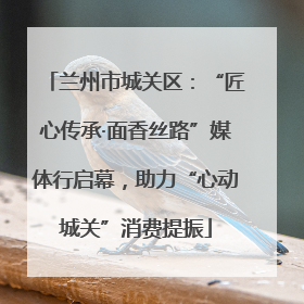 兰州市城关区：“匠心传承·面香丝路”媒体行启幕，助力“心动城关”消费提振
