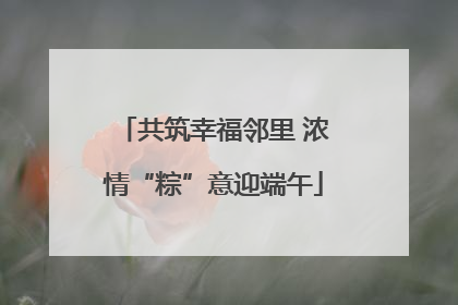 共筑幸福邻里 浓情“粽”意迎端午