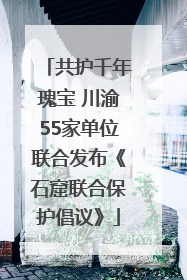 共护千年瑰宝 川渝55家单位联合发布《石窟联合保护倡议》