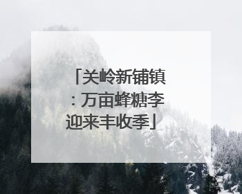 关岭新铺镇：万亩蜂糖李迎来丰收季